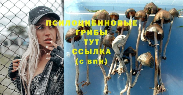 прущий лед Балахна