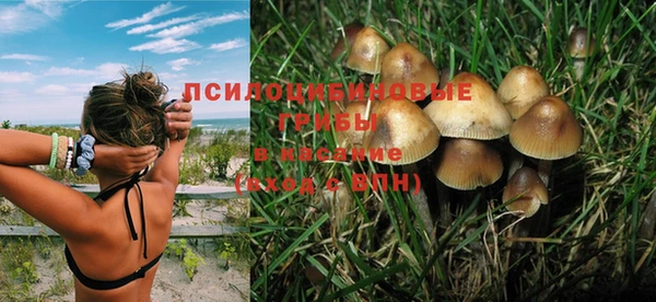 соль ск Балабаново