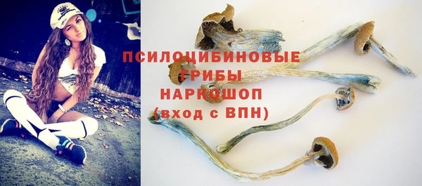 ГАЛЛЮЦИНОГЕННЫЕ ГРИБЫ Арсеньев