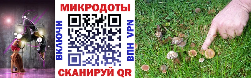 Псилоцибиновые грибы Magic Shrooms  магазин продажи наркотиков  Видное 